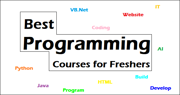 Best Programming Courses For Beginners