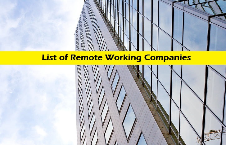 Remote Working Companies