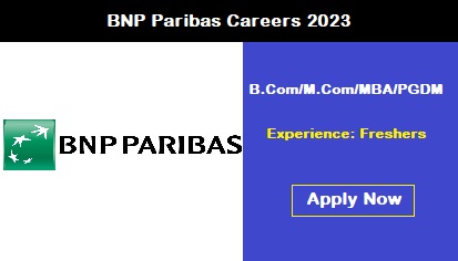 BNP Paribas Careers 2023