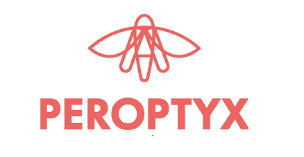 Peroptyx Work From Home Hiring Freshers