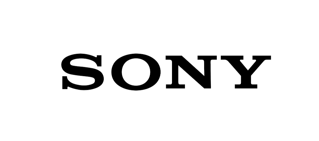 Sony Work From Home Hiring Freshers
